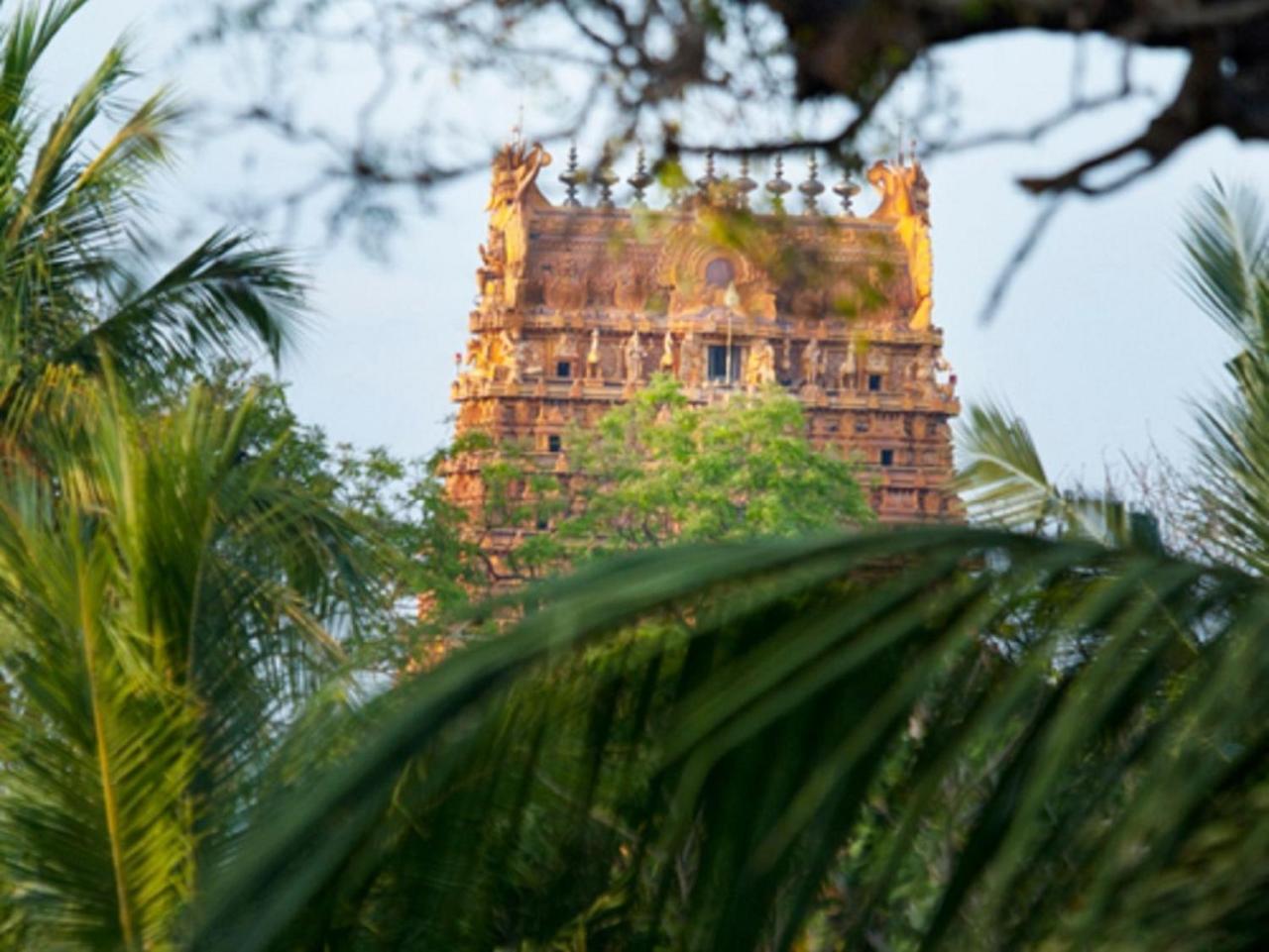 Jaffna Heritage Villa Екстер'єр фото